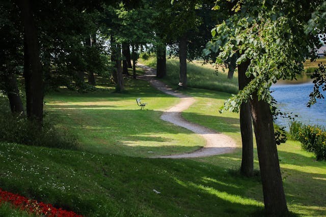 Bute Park