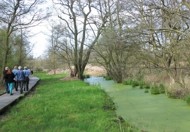 Askham Bog | YWT Askham Bog | YWT
