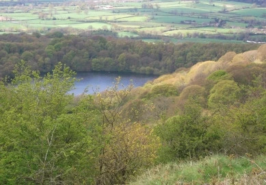Garbutt Wood | YWT Garbutt Wood | YWT