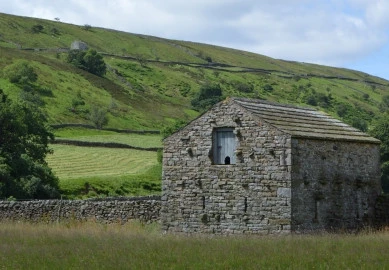 Yellands Meadow | YWT Yellands Meadow | YWT