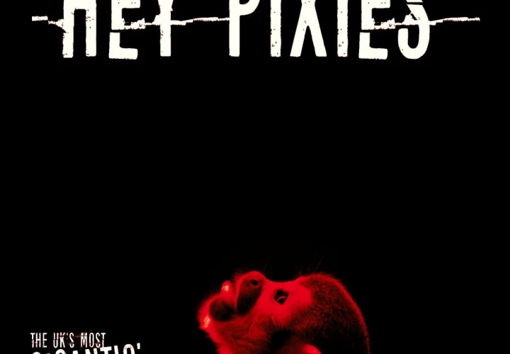 HEY PIXIES (Pixies Tribute) -Warrington Irish Club -Fri 5th Sept HEY PIXIES (Pixies Tribute) -Warrington Irish Club -Fri 5th Sept