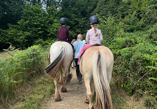 Tynings Trekking Centre review