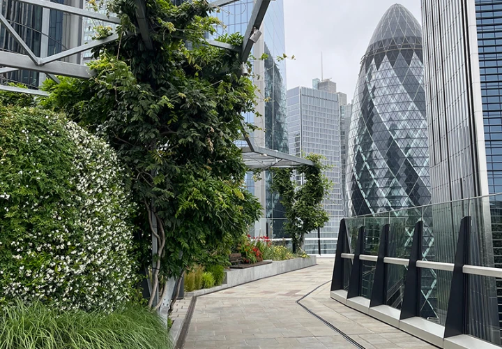 Garden at 120, London's biggest public roof top garden