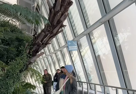 A day out in London with a budget of £10 - what can you do?