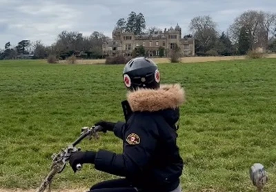 Baboon Adventures at Charlton Park Estate, Malmesbury Baboon Adventures at Charlton Park Estate, Malmesbury