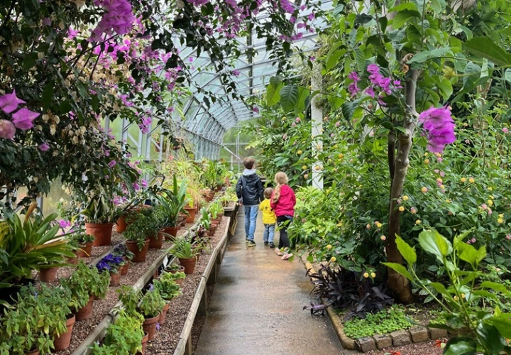 Torre Abbey: A rainy day out in Torquay