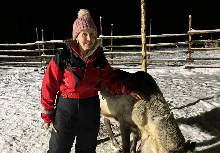 Wild About Lapland bespoke reindeer sleigh ride