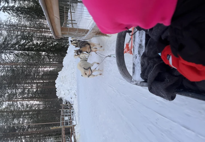 Santa Claus Village, Rovaniemi - a detailed guide