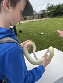 A snake in North Somerset