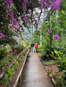 Palm House in the English Riveria