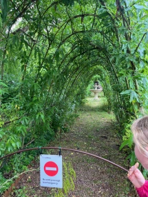Willow arch in Torre Abbey gardens