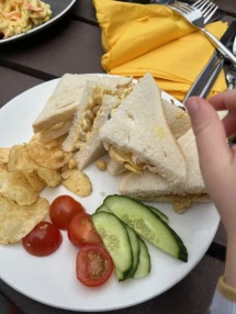 House of Marbles cafe