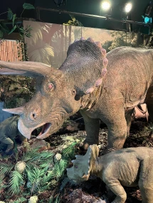 Jurassic Discovery, Seaton