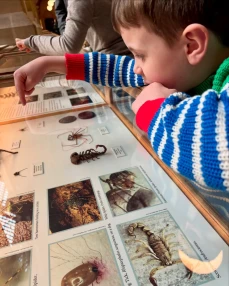 Oxford Natural History Museum
