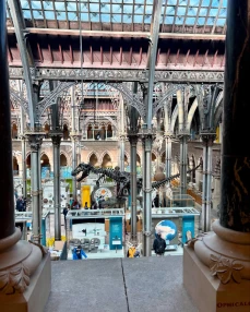 Oxford Natural History Museum