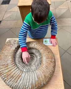 Giant fossil at Oxford Natural History Museum